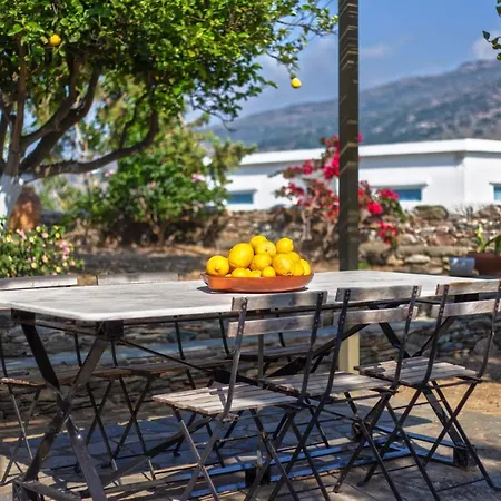 Villa Lemoni House à Ándros Extérieur photo